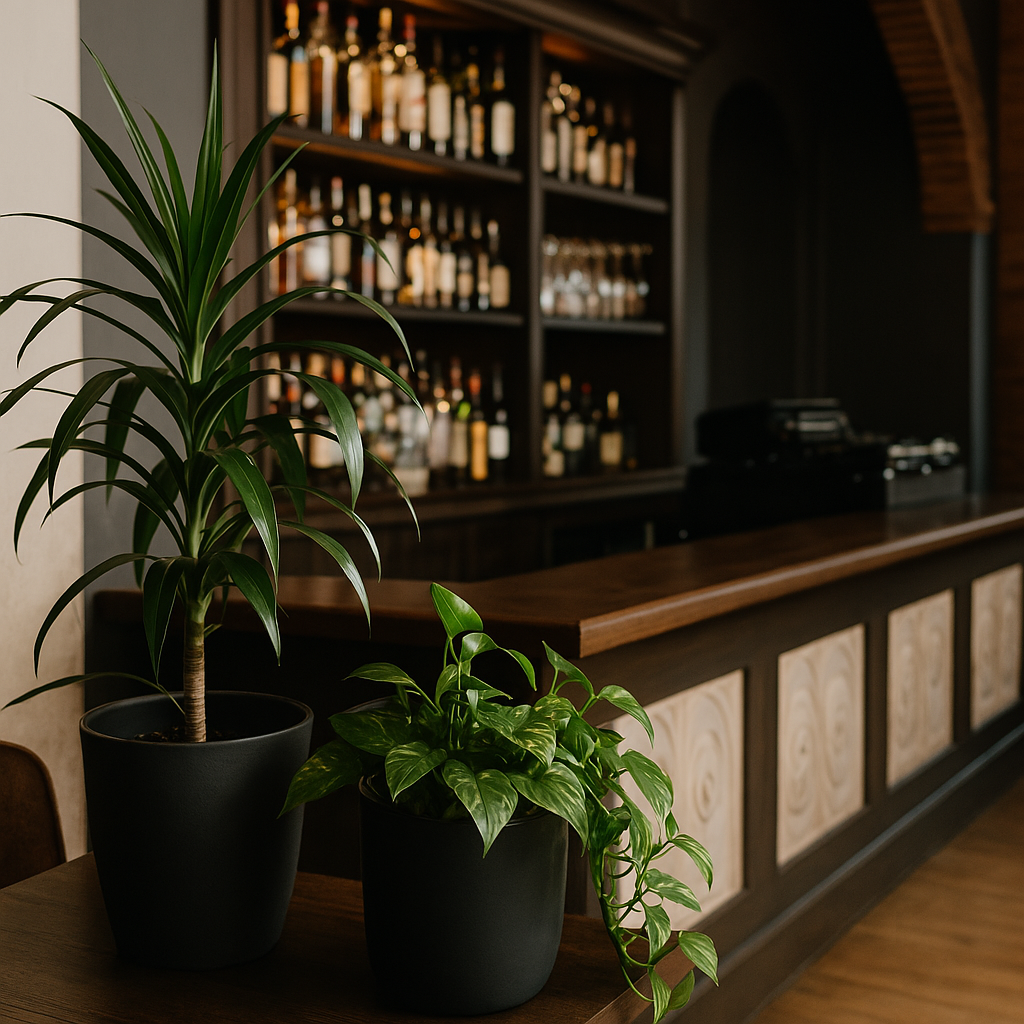 Dracaena & Pothos positioned at event corner